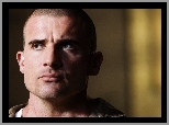 niebieskie oczy, Dominic Purcell